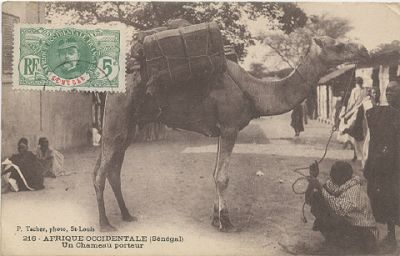 marchand de vin de palme