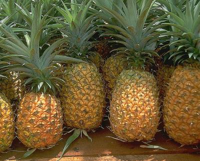ananas