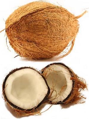 nois de coco