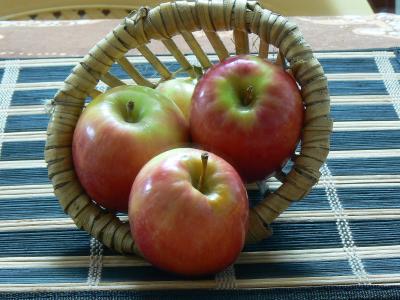 pommes, nov 2008